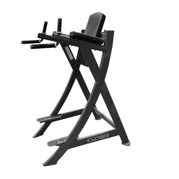 Cybex VKR Chin dip leg raise – El Source