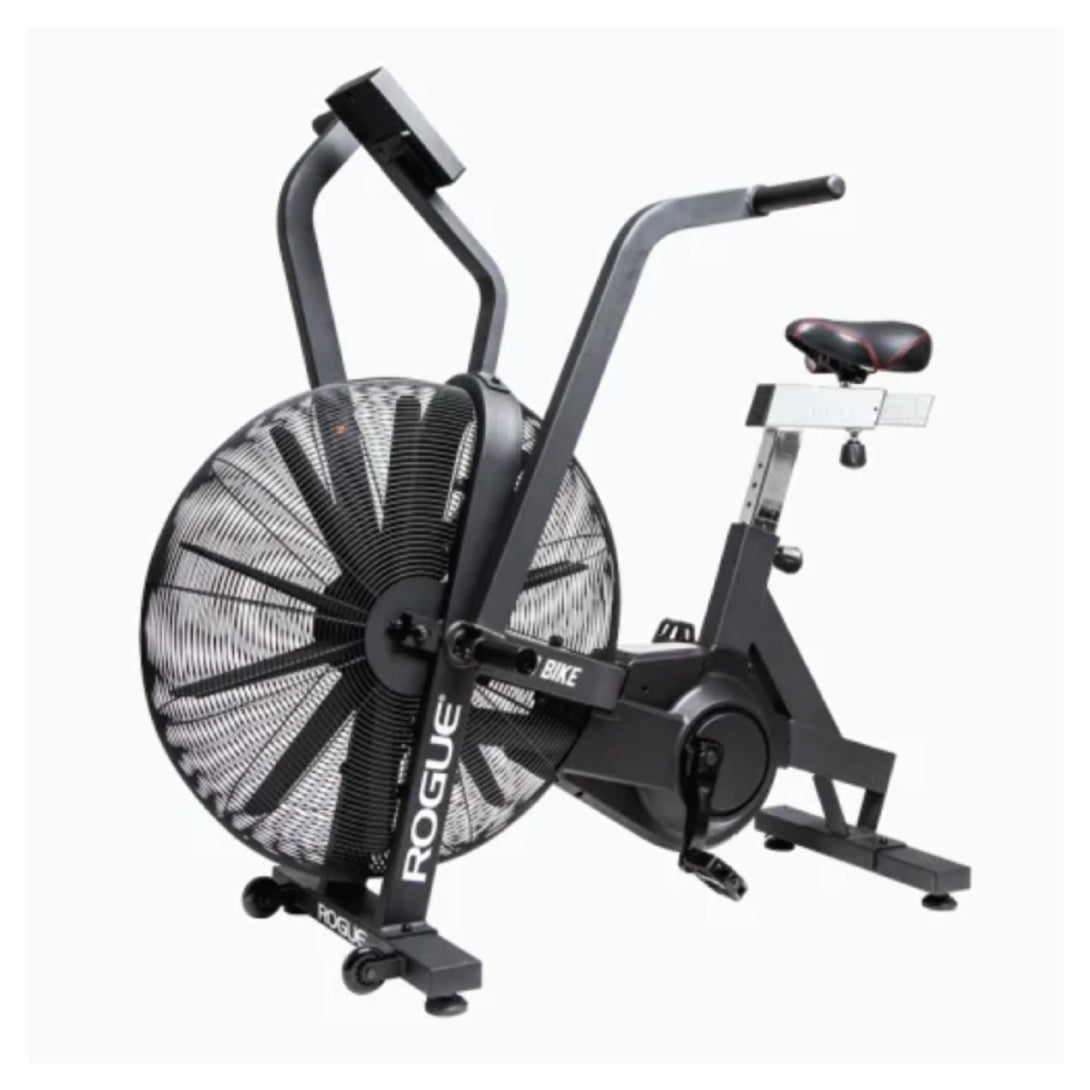 Rogue Echo Bike - Main Image