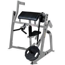 Hammer Strength Plate Loaded Arm Curl