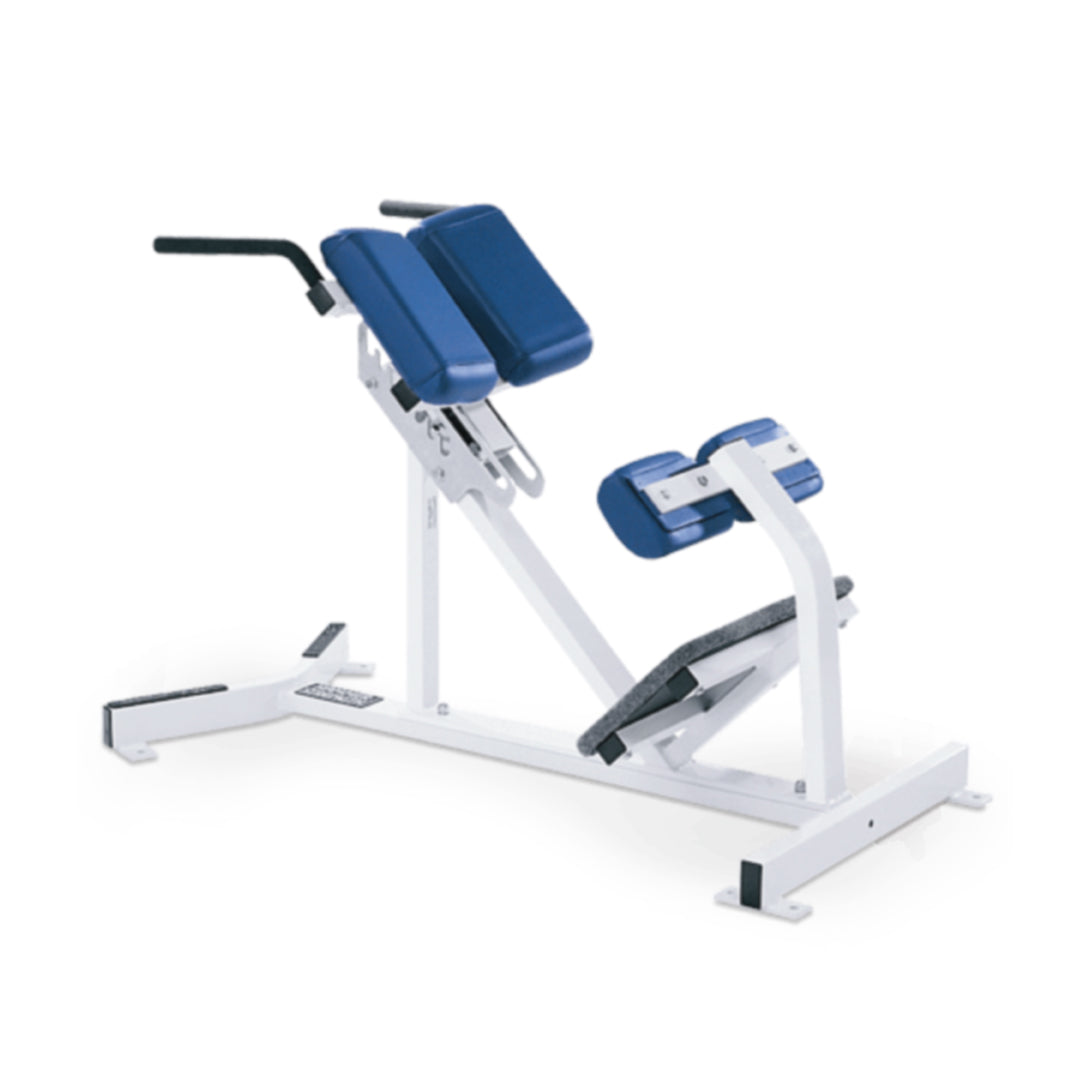 Bodyweight hyperextension hot sale